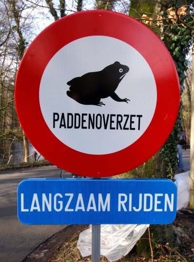 foto verkeersbord paddenoverzet