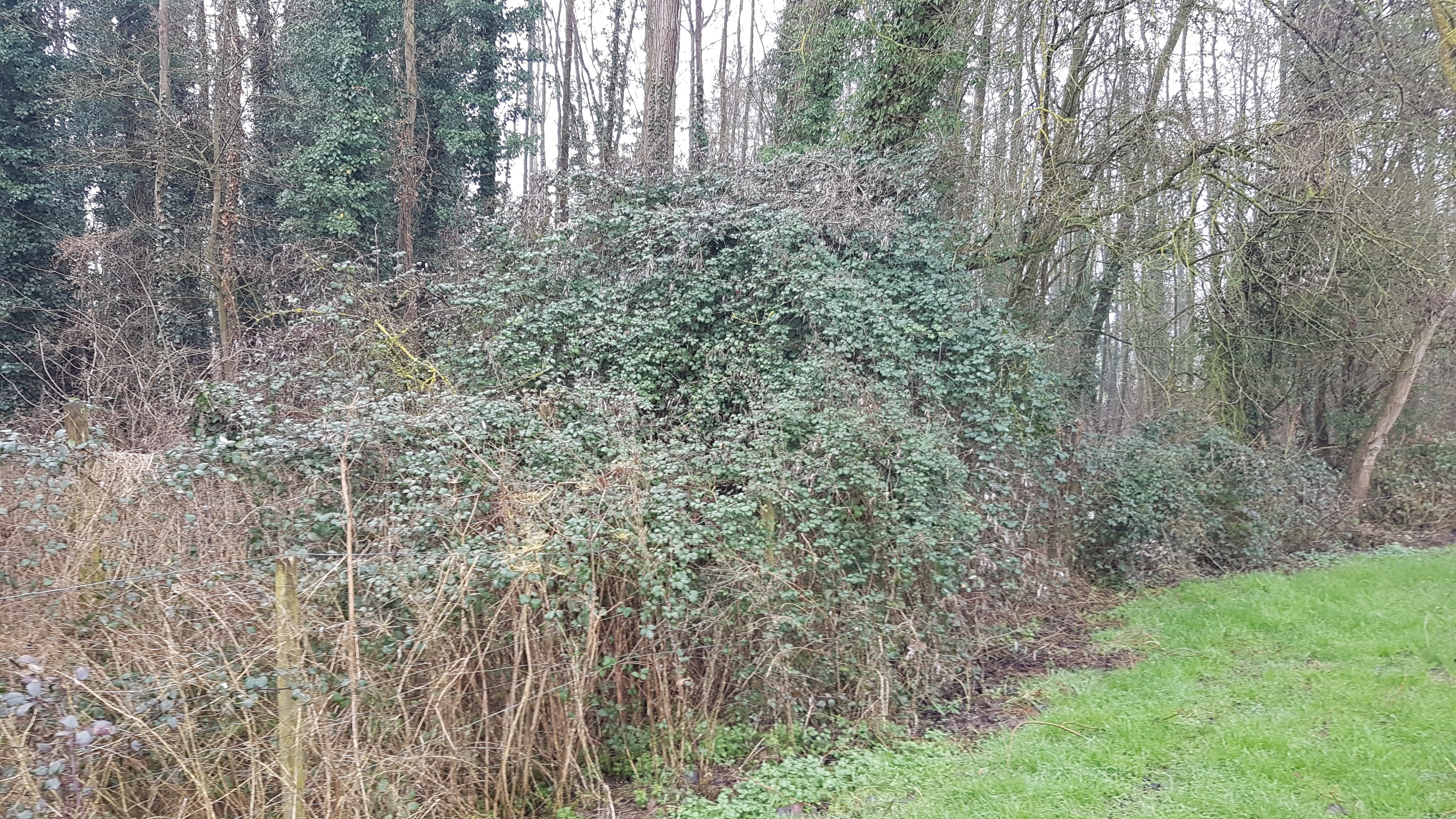 Malbroekweg vroeger