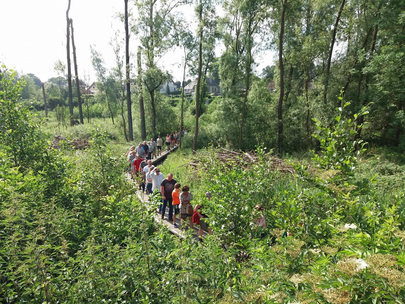 wandeling Moerasbos