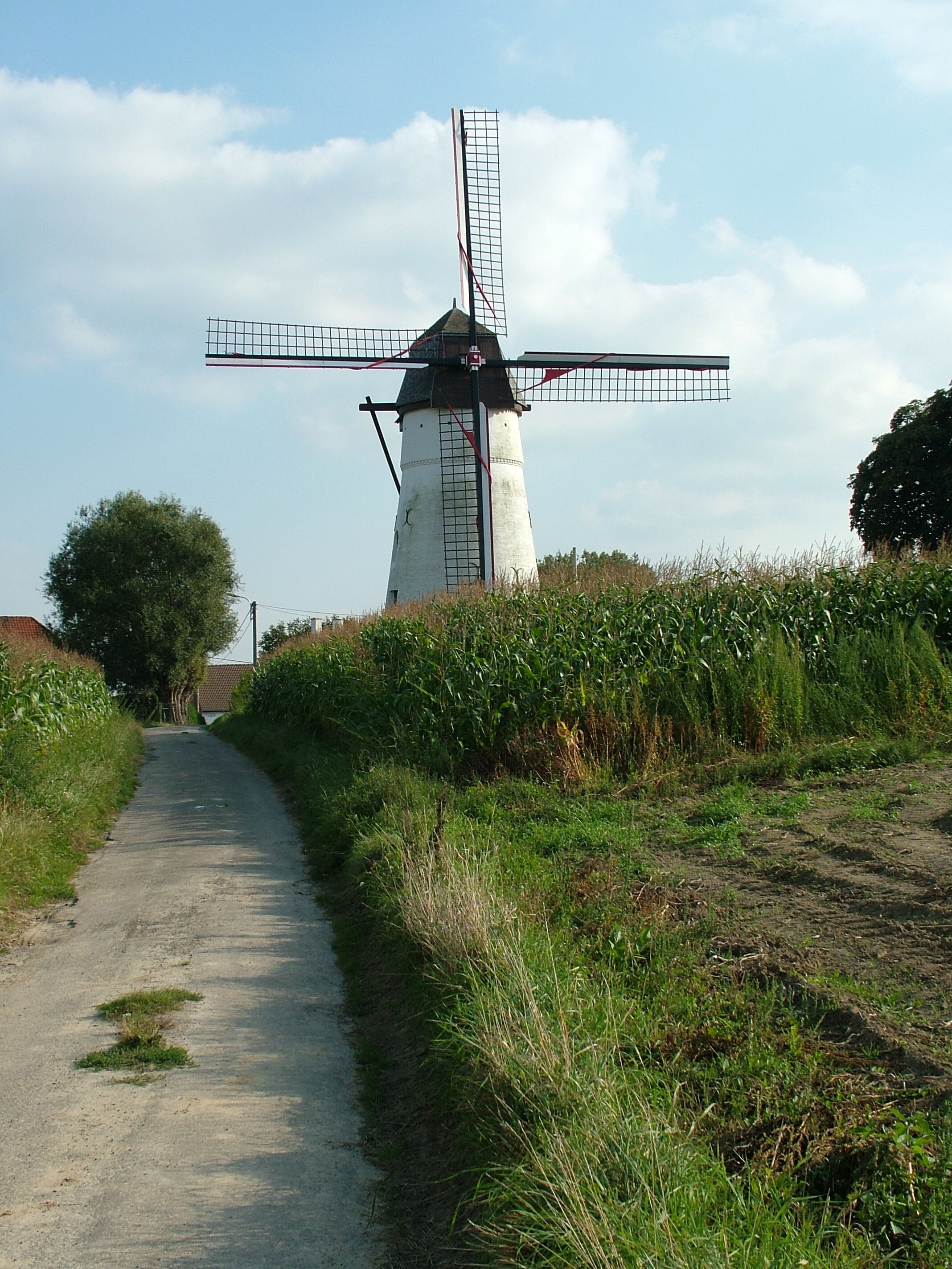 molen Denderwindeke