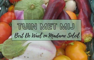 Workshop Tuin met mij Thema Patato-box maken