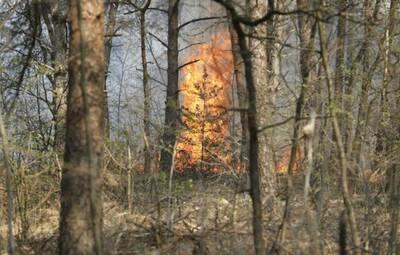 Code oranje voor natuurbrand in Oost-Vlaanderen