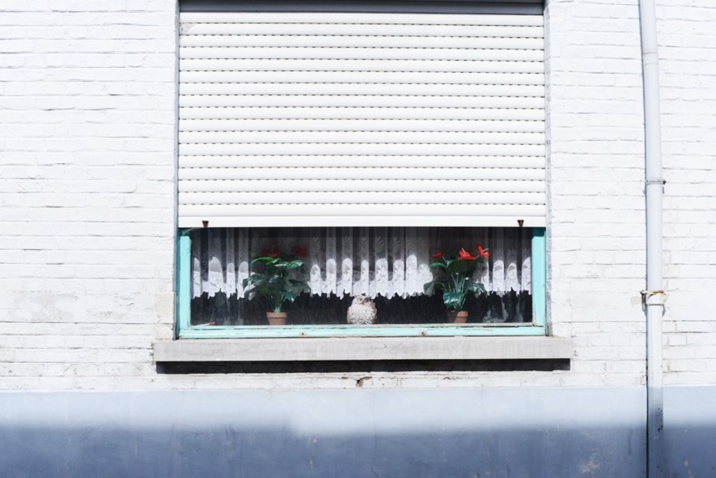 Pamelstraat - Nederwijk