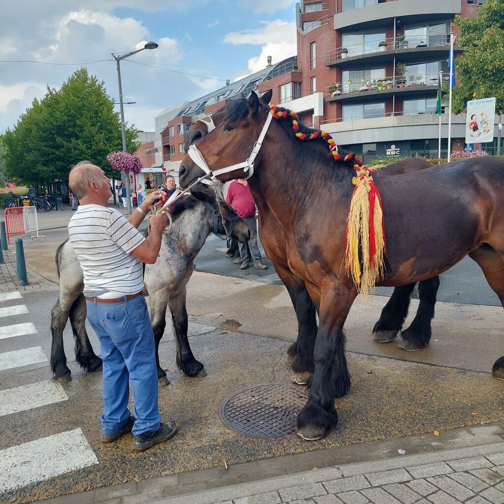 Jaarmarkt 2022