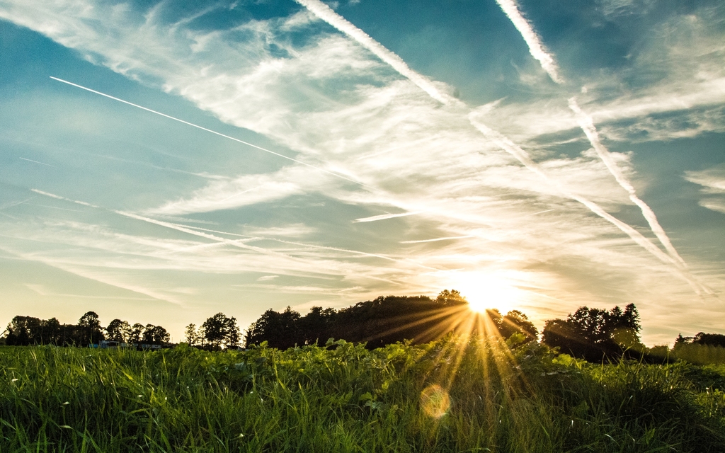 Meerbeke, zonsondergang, bebossing, gouden uur