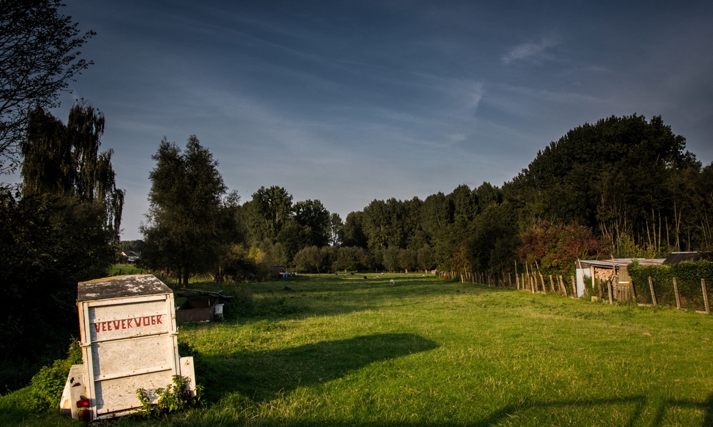 Meerbeke, Stenebrug, weiland