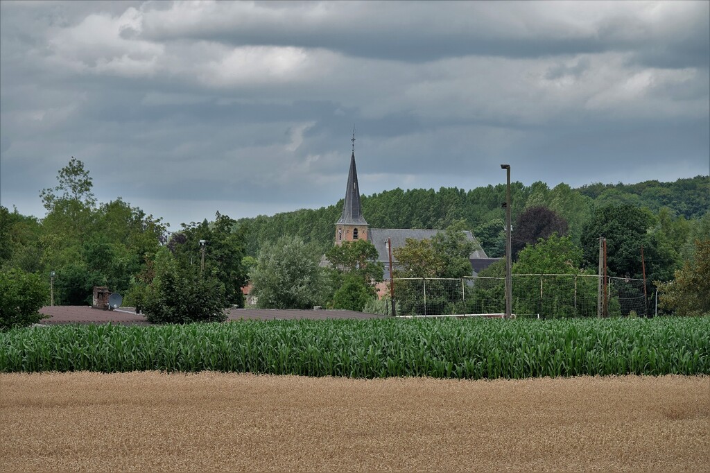 Wandeling in en om Lieferinge op zondag 17 juli 2023 (5)