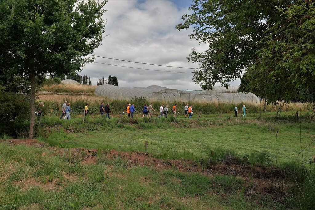 Wandeling in en om Lieferinge op zondag 17 juli 2023 (6)