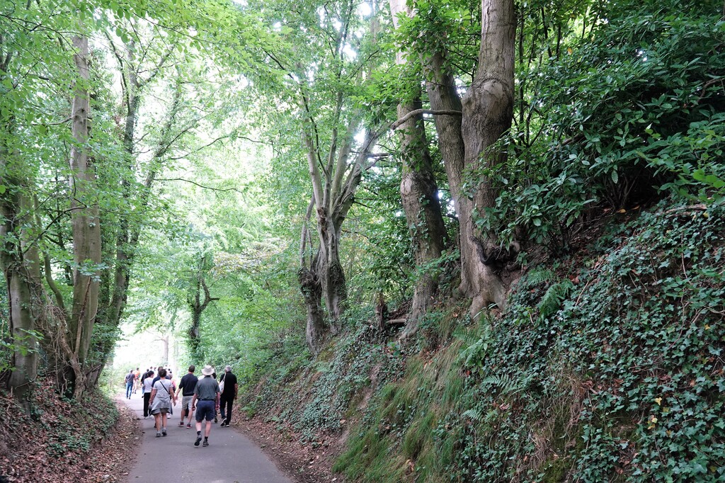 Wandeling in en om Lieferinge op zondag 17 juli 2023 (8)