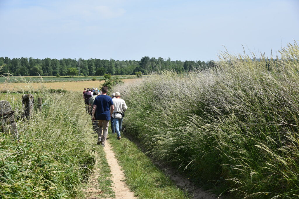 In en om het Galgenveld (6)