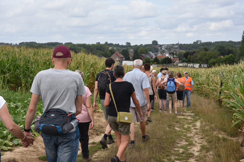 Wandelen in Aspelare_06