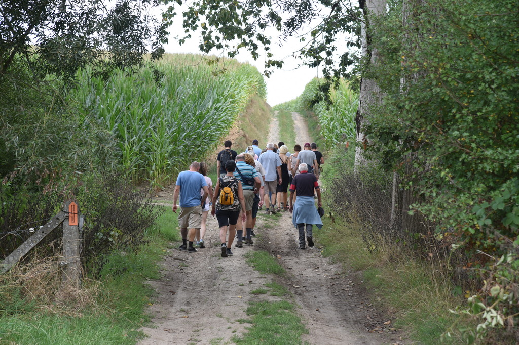 Wandelen in Aspelare_13