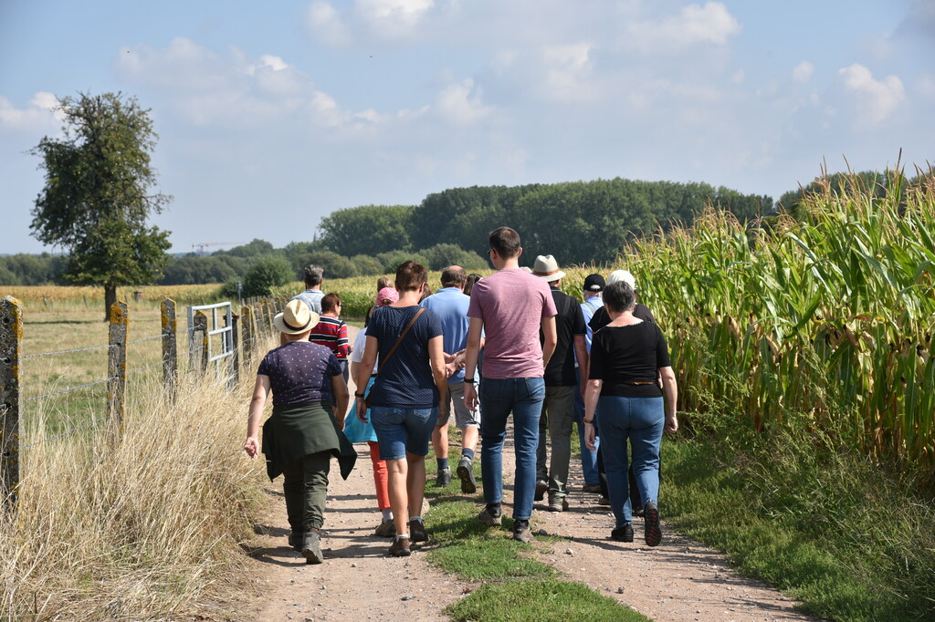 Molenwandeling_11 sept 2022_04