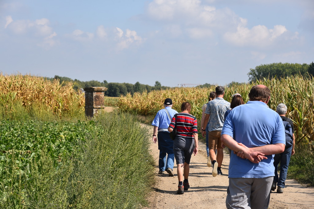 Molenwandeling_11 sept 2022_05