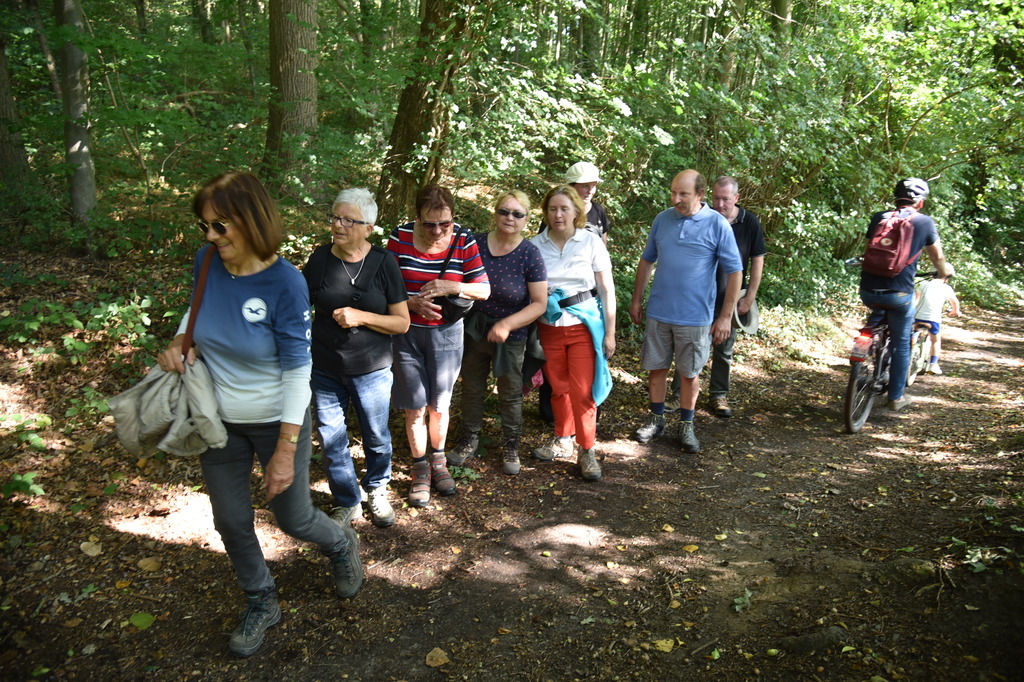 Molenwandeling_11 sept 2022_07