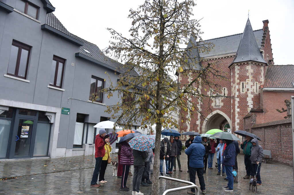 Themawandeling rond Oorlog en Vrede - zondag 6 november 2022 (3)