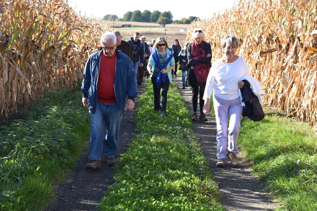 Herfstwandeling Meerbeke 24 okt 2021 (5)