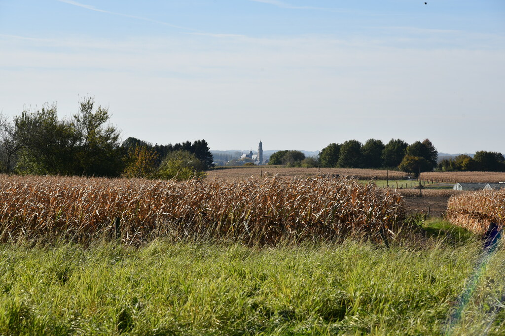 Herfstwandeling Meerbeke 24 okt 2021 (6)