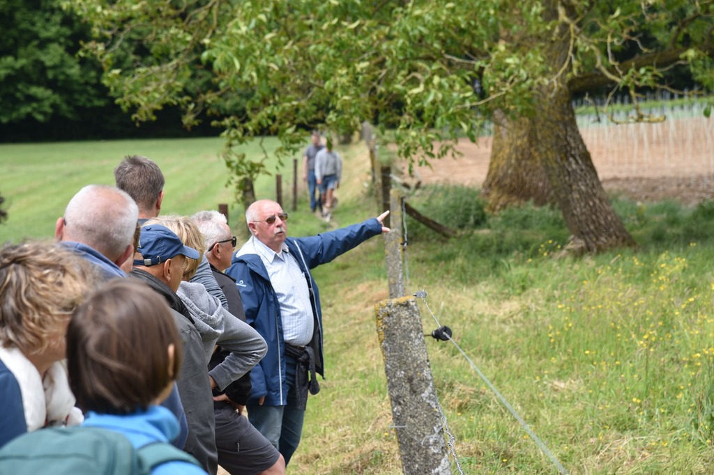 Lentewandeling in en om het Neigembos_25 mei 2025 (13)