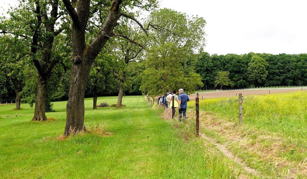 Lentewandeling in en om het Neigembos_25 mei 2025 (14)