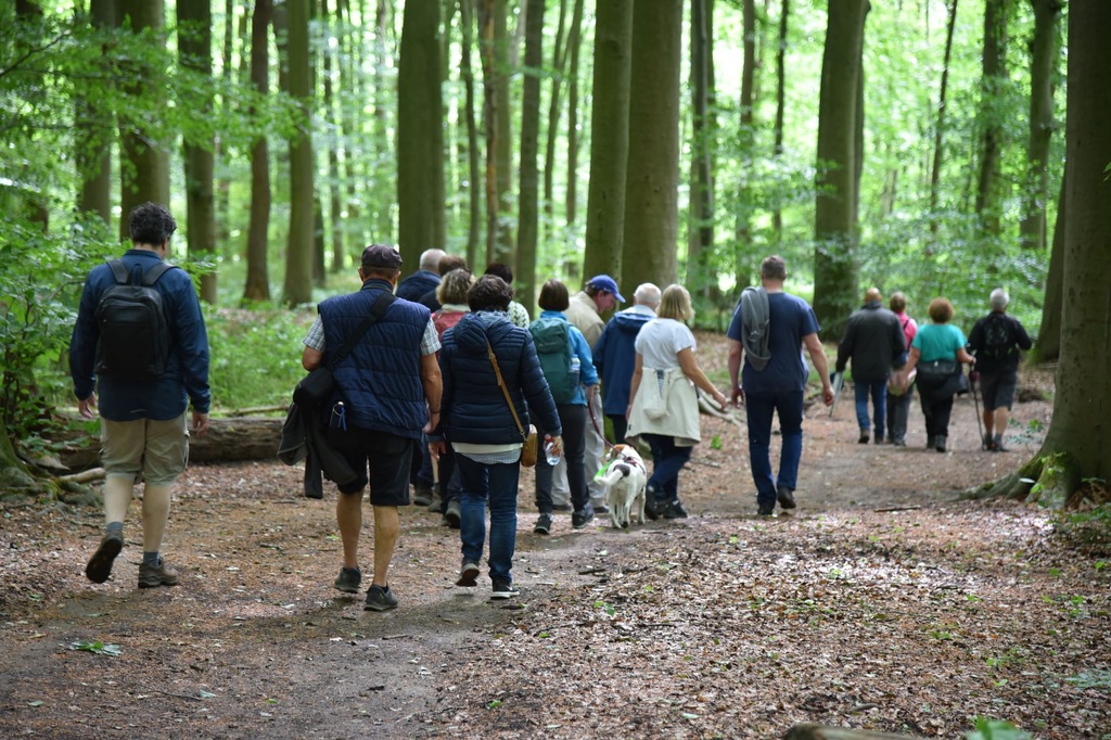 Lentewandeling in en om het Neigembos_25 mei 2025 (21)