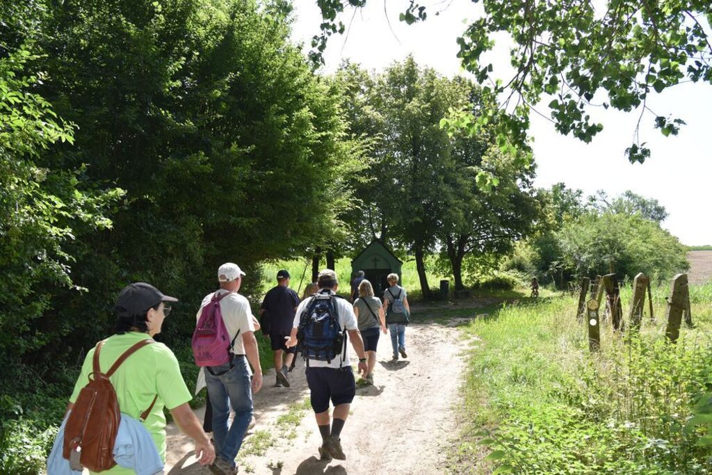Ochtend Galgenveldwandeling_zondag 13 juli 2025 (11)
