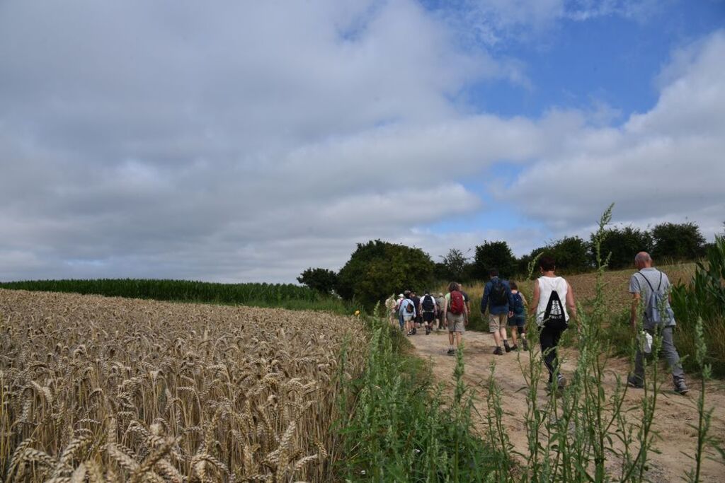 Ochtend Galgenveldwandeling_zondag 13 juli 2025 (4)