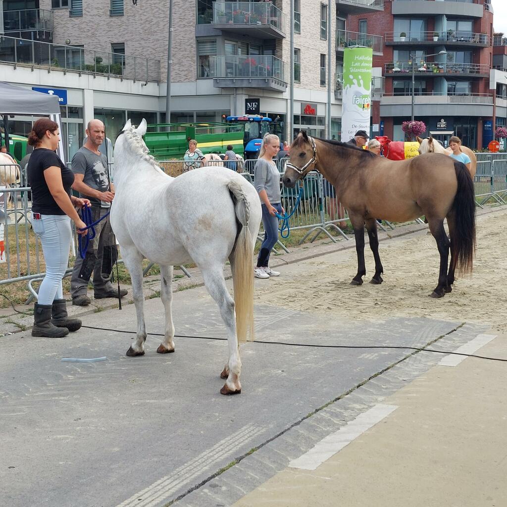 Jaarmarkt 2022