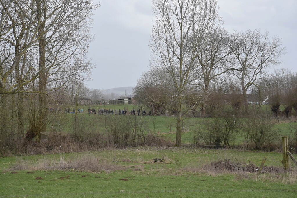 Wandeling in Nederhasselt op zondag 12 maart 2023(10)