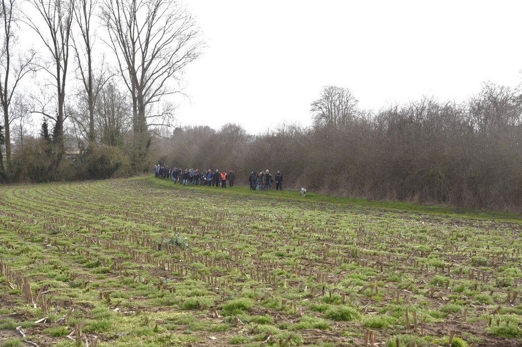 Wandeling in Nederhasselt op zondag 12 maart 2023(11)