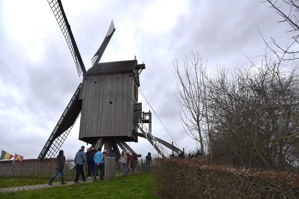 Wandeling in Nederhasselt op zondag 12 maart 2023(13)