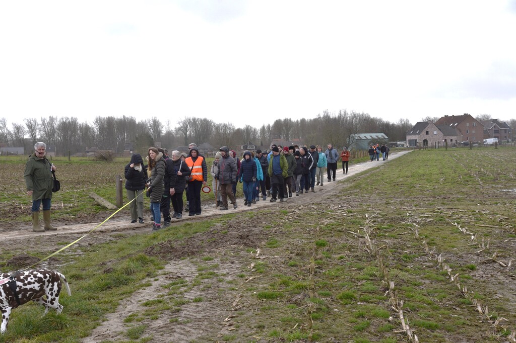 Wandeling in Nederhasselt op zondag 12 maart 2023(5)