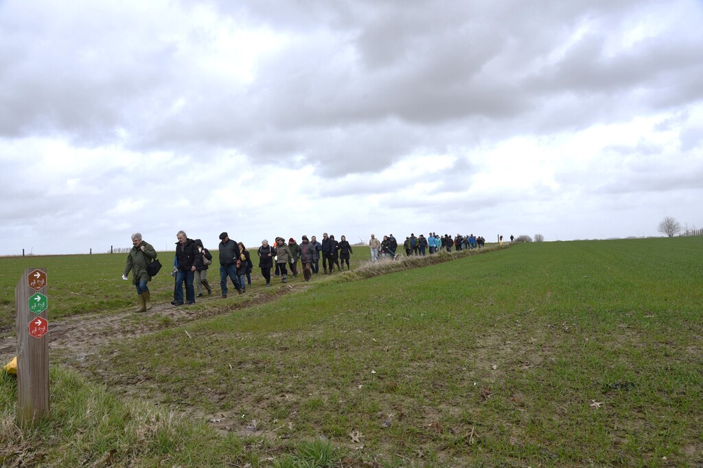 Wandeling in Nederhasselt op zondag 12 maart 2023(6)