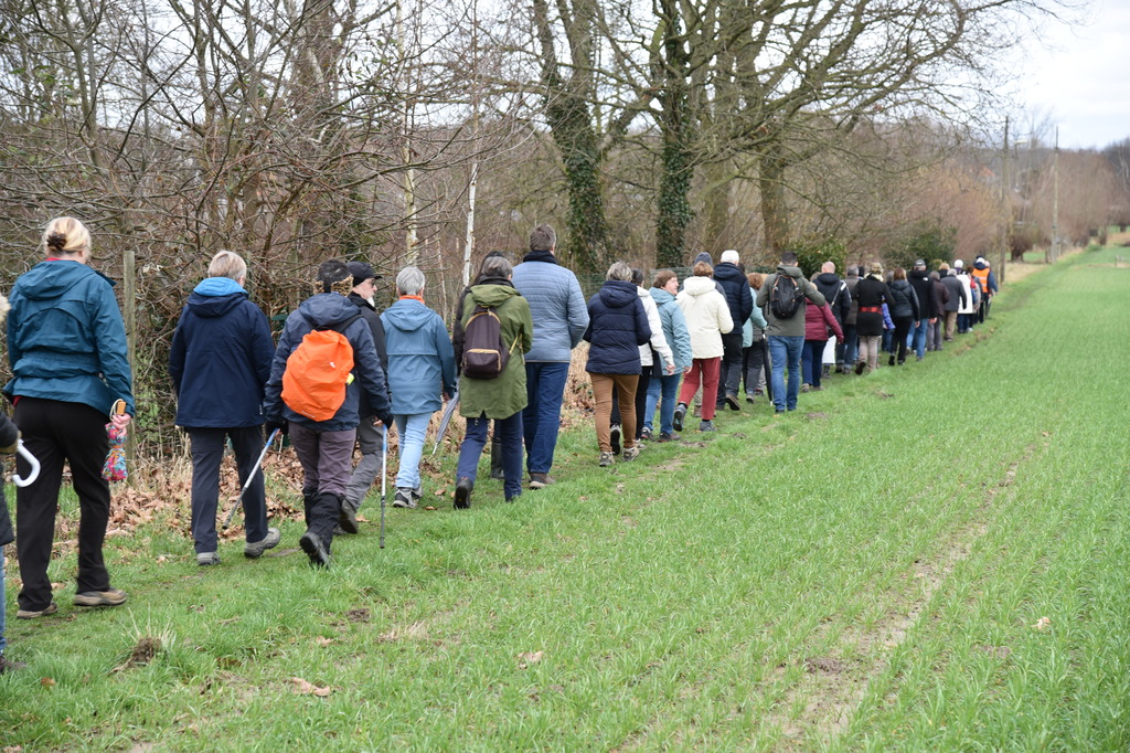 Winterwandeling Ninove-Meerbeke_11 februari 2024 (17)