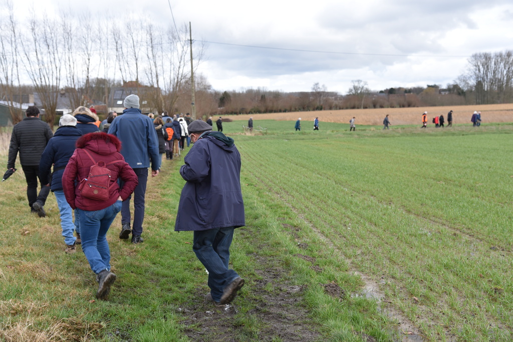 Winterwandeling Ninove-Meerbeke_11 februari 2024 (18)