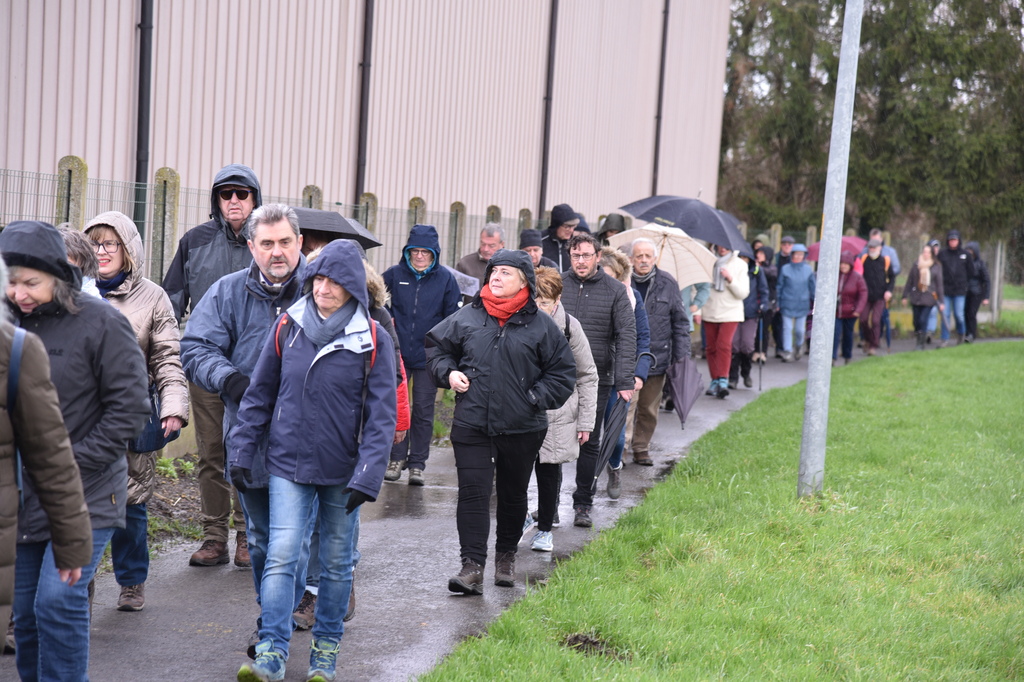 Winterwandeling Ninove-Meerbeke_11 februari 2024 (2)