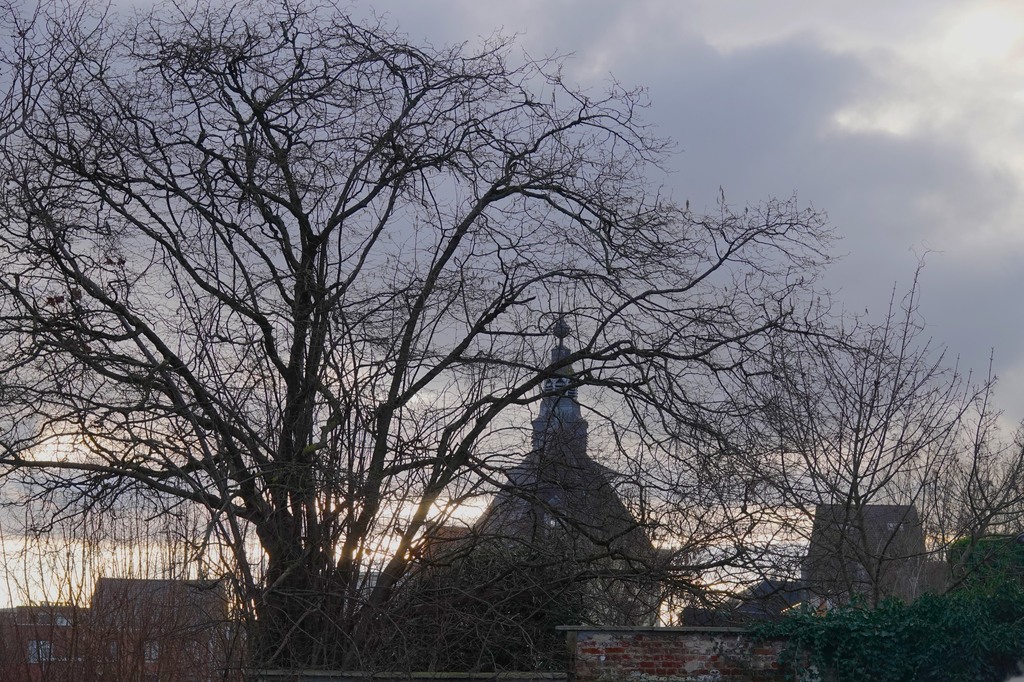 Winterwandeling Ninove-Meerbeke_11 februari 2024 (30)