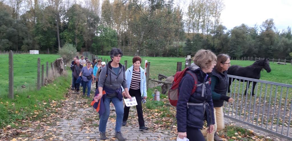 Zomerwandelzoektocht-Oplossingen (15)