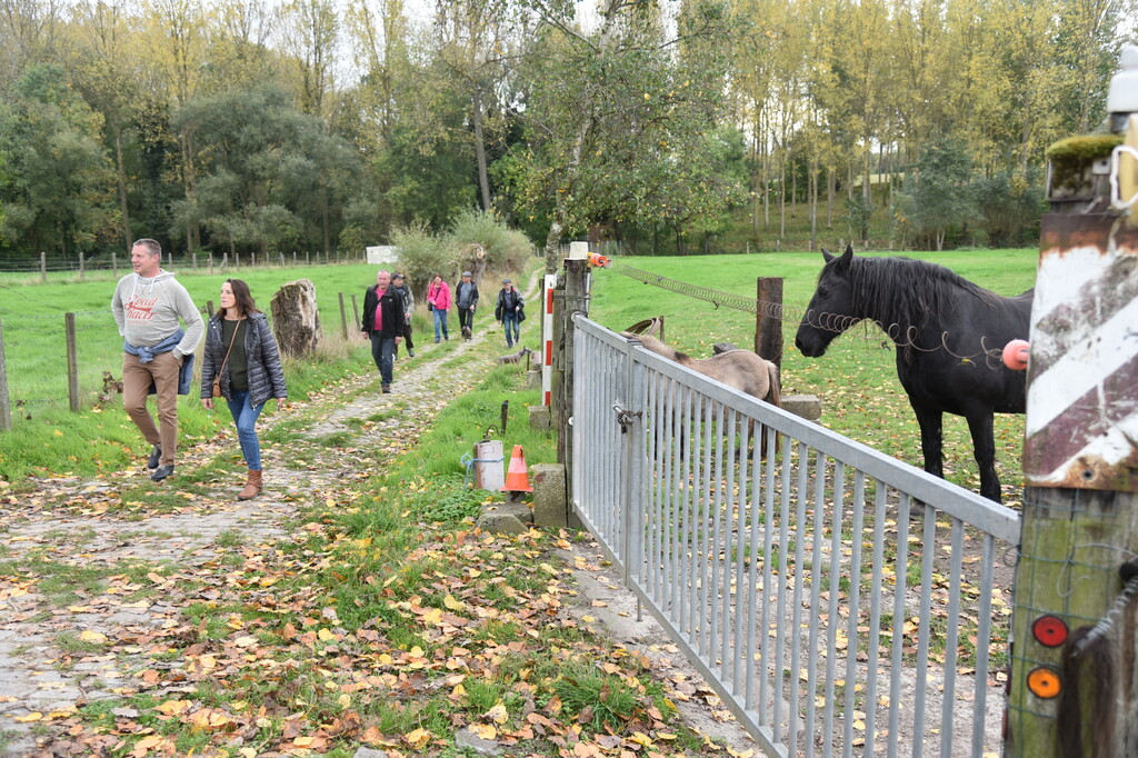 Zomerwandelzoektocht-Oplossingen (16)