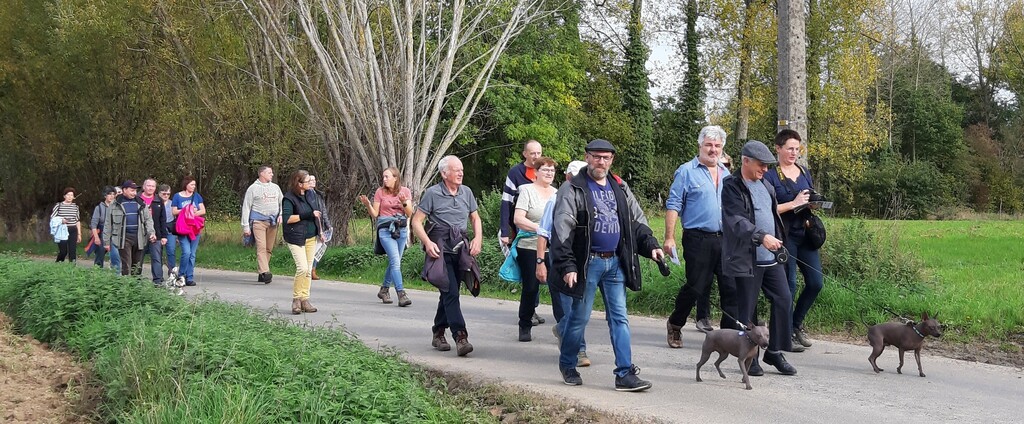 Zomerwandelzoektocht-Oplossingen (2)