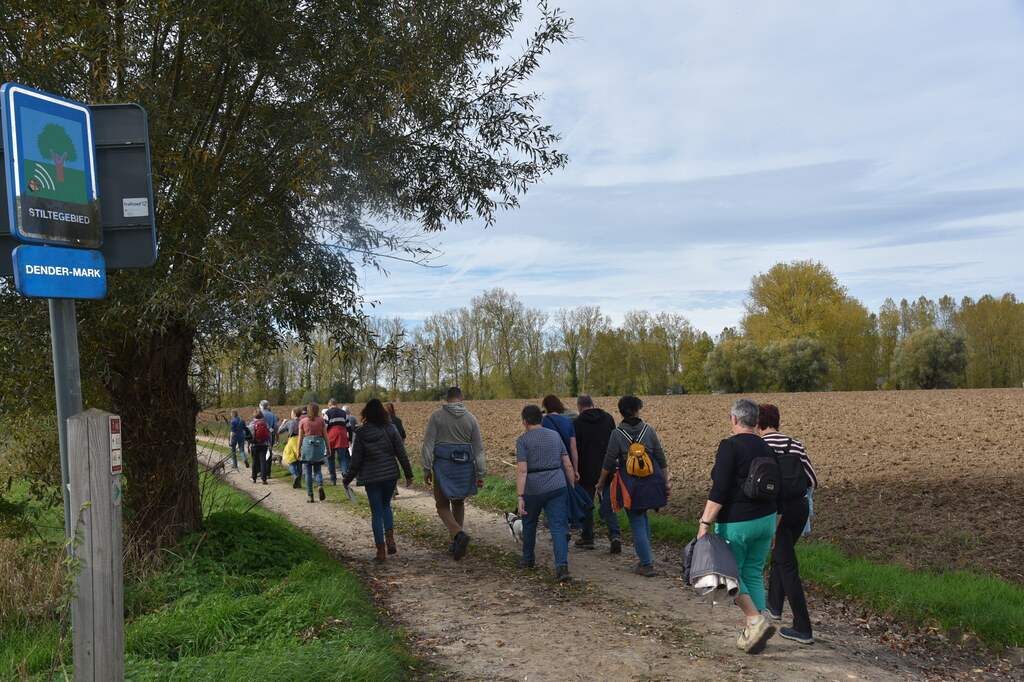 Zomerwandelzoektocht-Oplossingen (3)