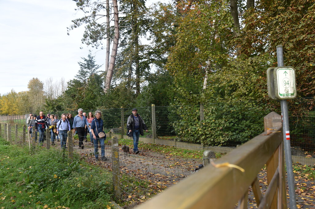 Zomerwandelzoektocht-Oplossingen (5)