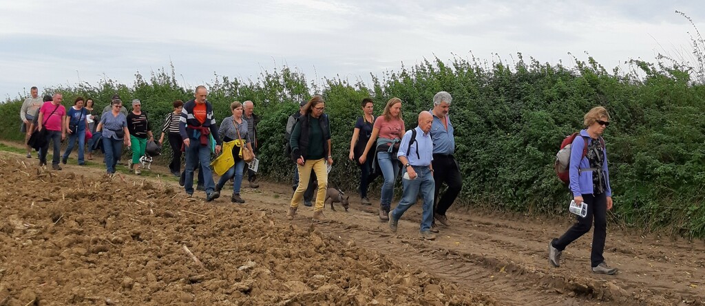 Zomerwandelzoektocht-Oplossingen (7)