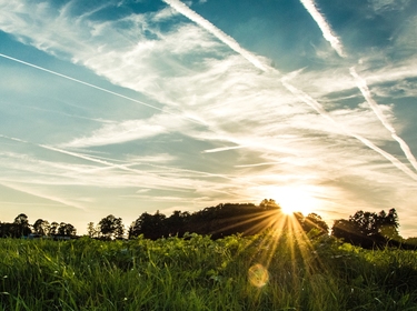 Meerbeke, zonsondergang, bebossing, gouden uur