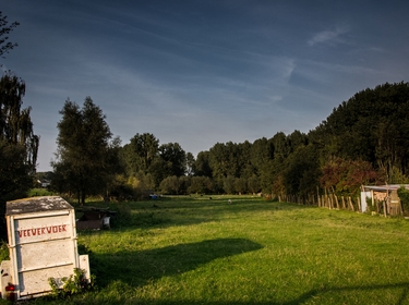 Meerbeke, Stenebrug, weiland