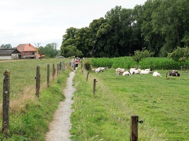 Wandeling in en om Lieferinge op zondag 17 juli 2023 (11)