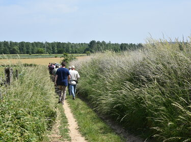 In en om het Galgenveld (6)