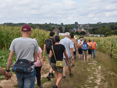 Wandelen in Aspelare_06