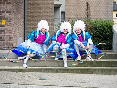 Carnaval Ninove 2020