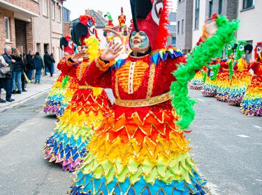 Carnaval Ninove 2020